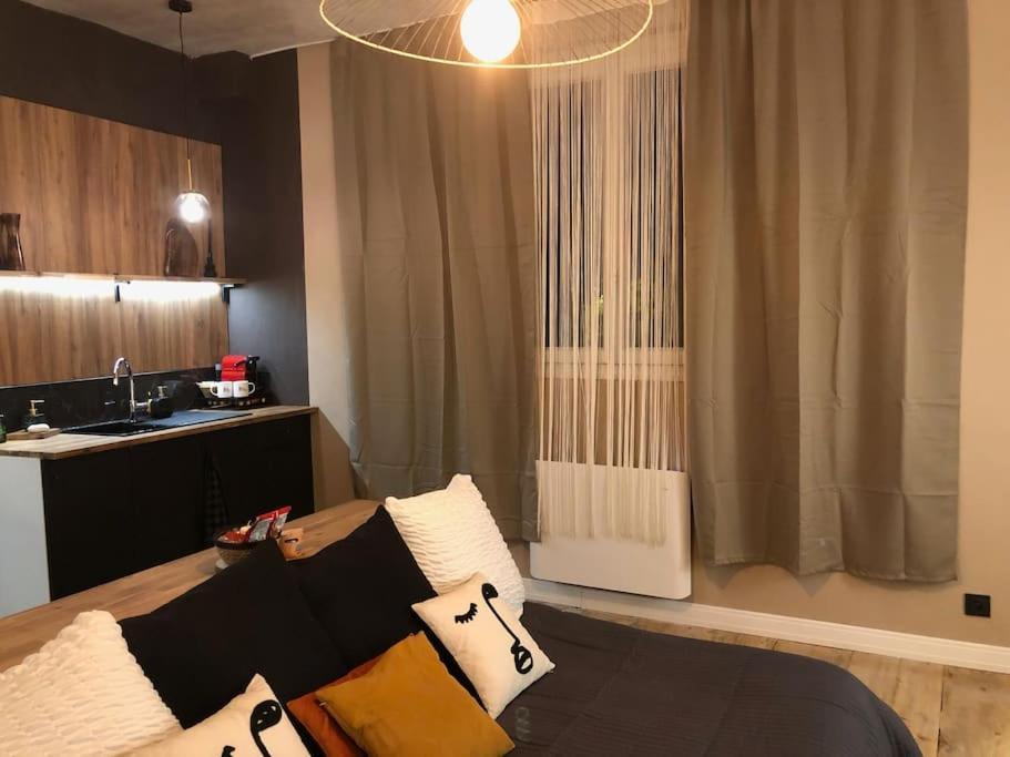 Le Tulum, T2, Hyper-Centre, Place Aux Herbes Mâcon Exteriör bild